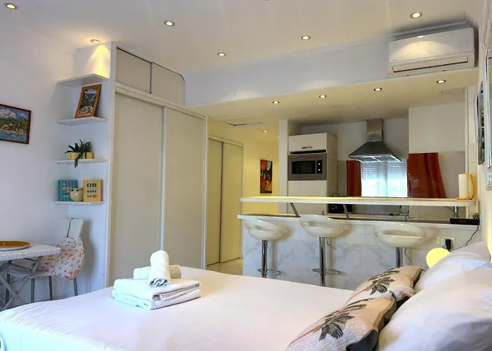 Daire Palais Miramar - White Jardin - 20m *